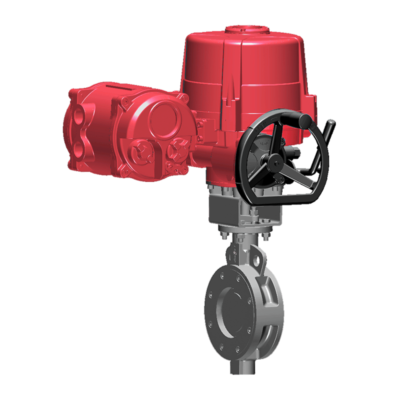 Electric Hard-Signatum Gloria Valvae