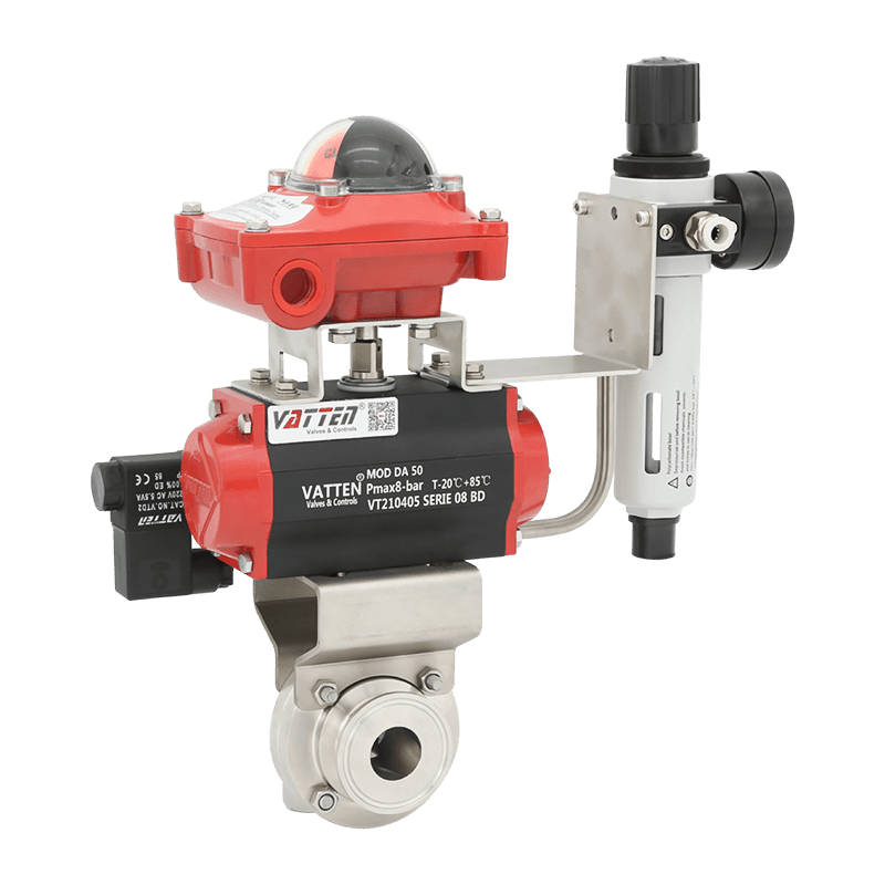 Pneumatica Fibulae Papilio Valve