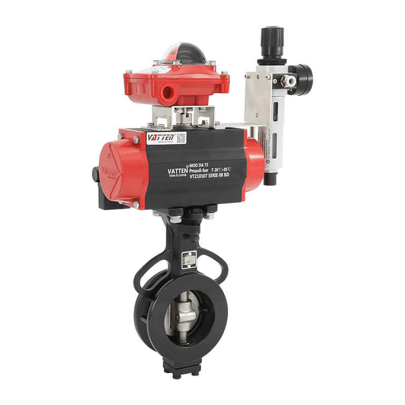 Pneumaticus Geminus Eccentric Papilio Valve