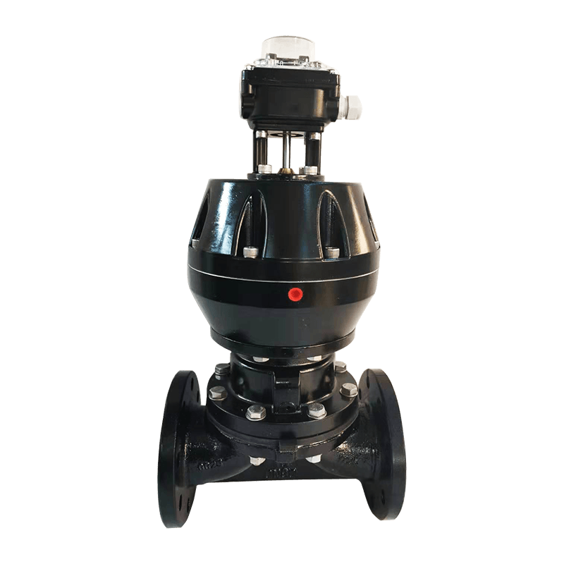 Pneumaticum Diaphragma valvae Flanged